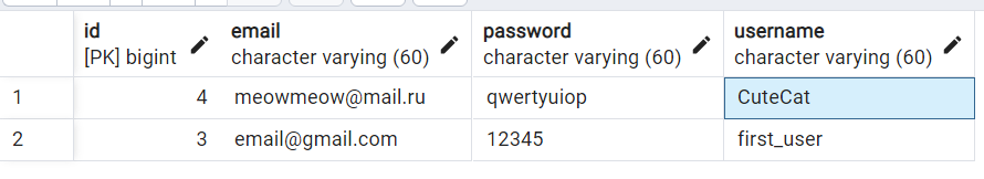 2 записи в таблице users БД